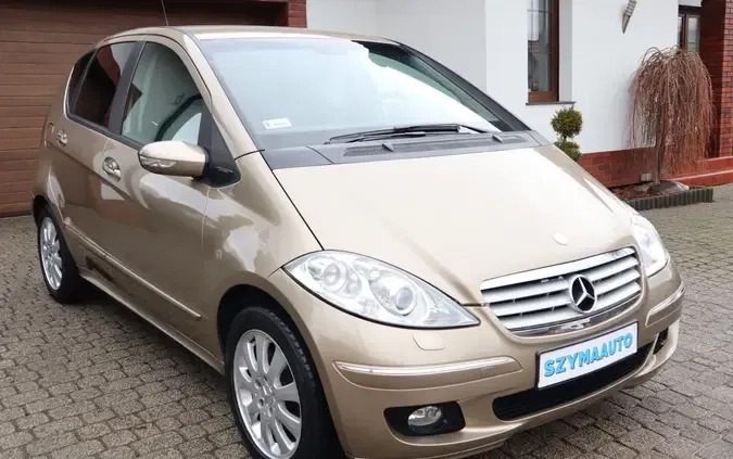 Mercedes-Benz Klasa A cena 16500 przebieg: 116061, rok produkcji 2004 z Borek Wielkopolski małe 211